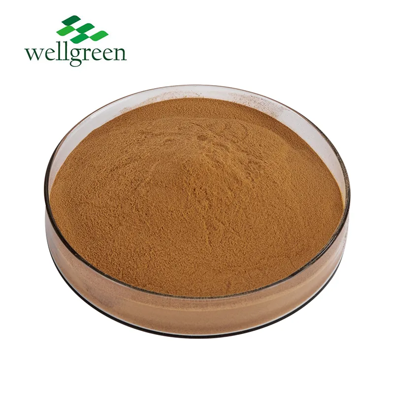 macleaya cordata extract powder.webp